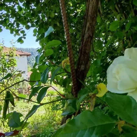 Maison d'hôtes L'art Des Choix 3*